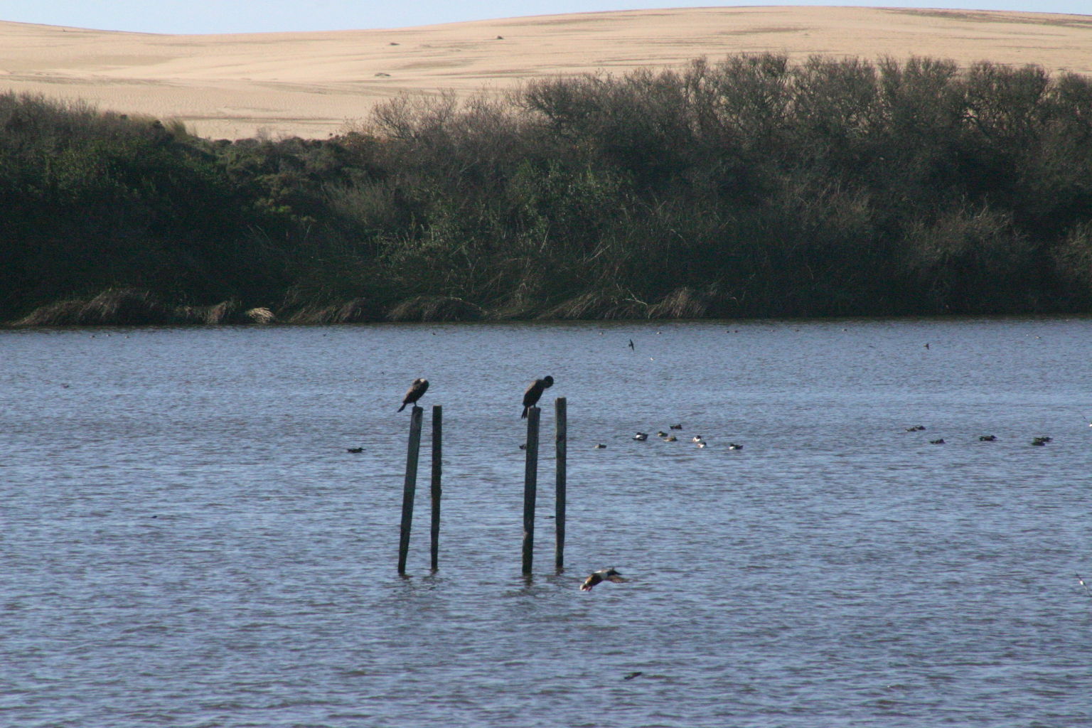 Oso Flaco Boardwalk
